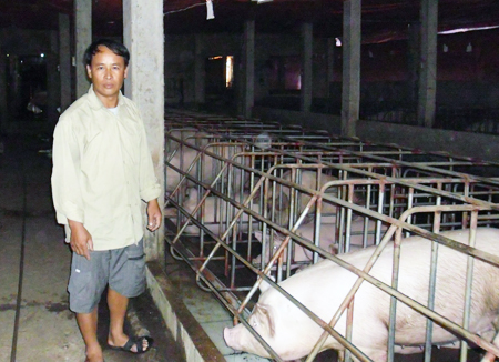 Phong trào nông dân sản xuất kinh doanh giỏi ở Ân Thi Hưng Yên